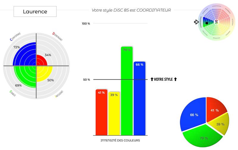 profil-personnel-disc