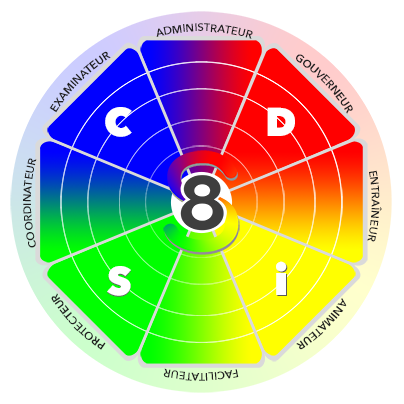 logo-DiSC8S